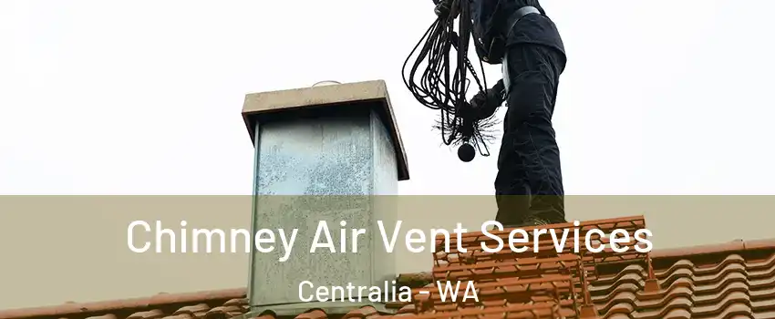  Chimney Air Vent Services Centralia - WA