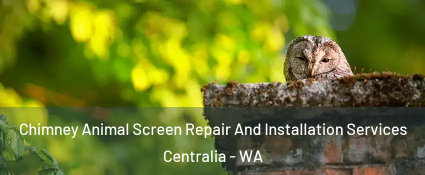  Chimney Animal Screen Repair And Installation Services Centralia - WA