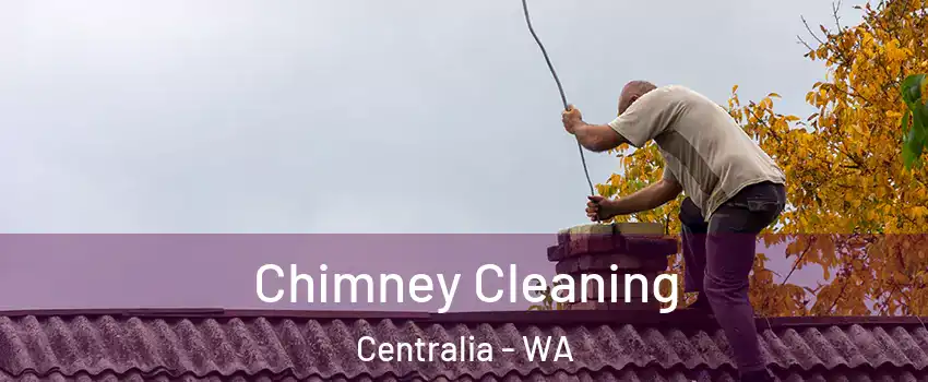  Chimney Cleaning Centralia - WA