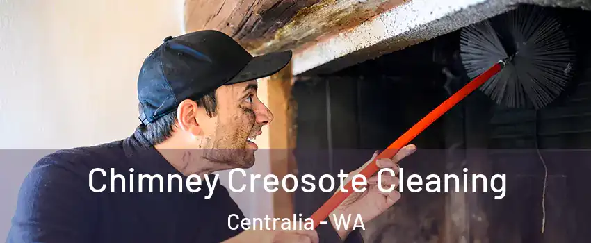 Chimney Creosote Cleaning Centralia - WA