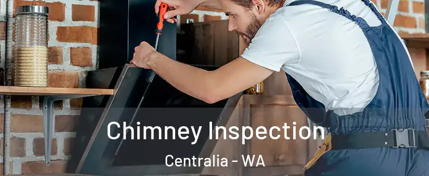  Chimney Inspection Centralia - WA