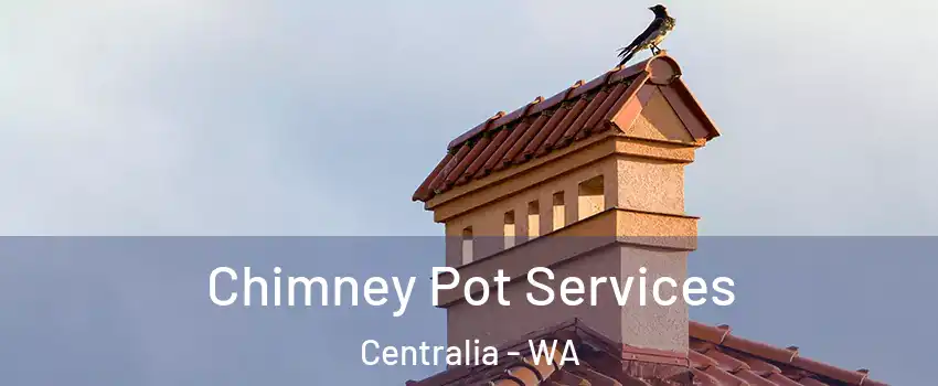  Chimney Pot Services Centralia - WA