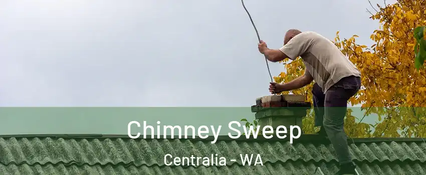  Chimney Sweep Centralia - WA