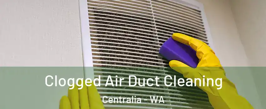  Clogged Air Duct Cleaning Centralia - WA