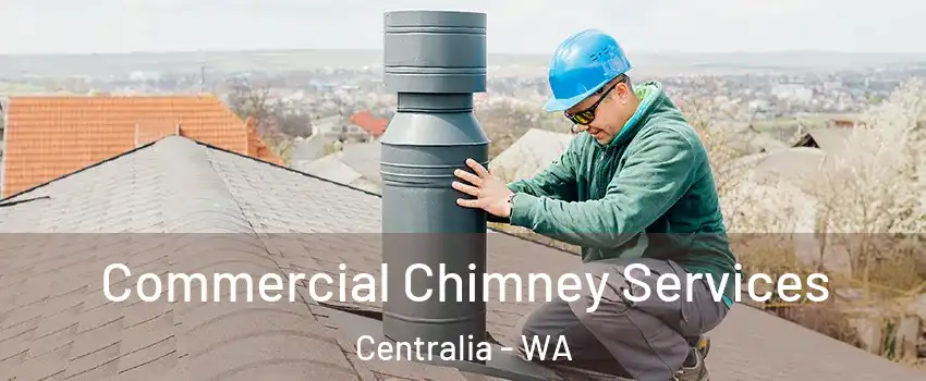 Commercial Chimney Services Centralia - WA