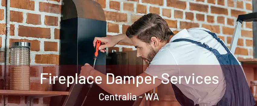  Fireplace Damper Services Centralia - WA
