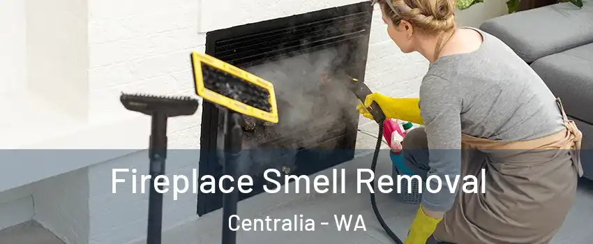  Fireplace Smell Removal Centralia - WA