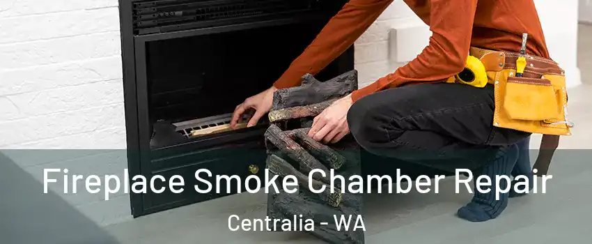  Fireplace Smoke Chamber Repair Centralia - WA