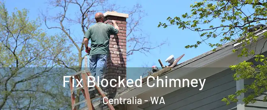 Fix Blocked Chimney Centralia - WA
