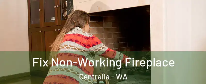  Fix Non-Working Fireplace Centralia - WA