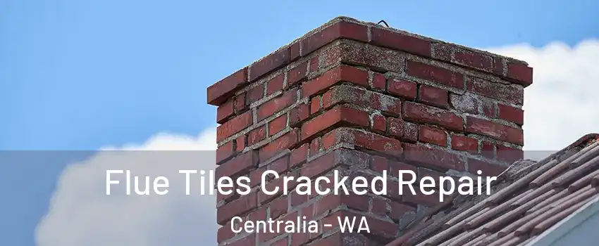  Flue Tiles Cracked Repair Centralia - WA