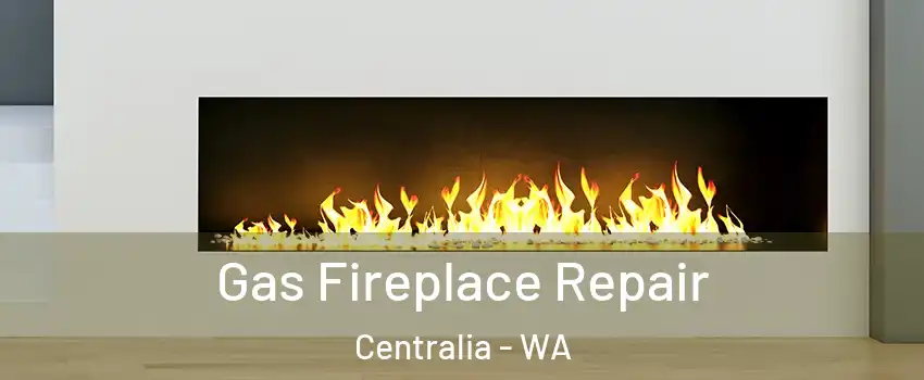 Gas Fireplace Repair Centralia - WA