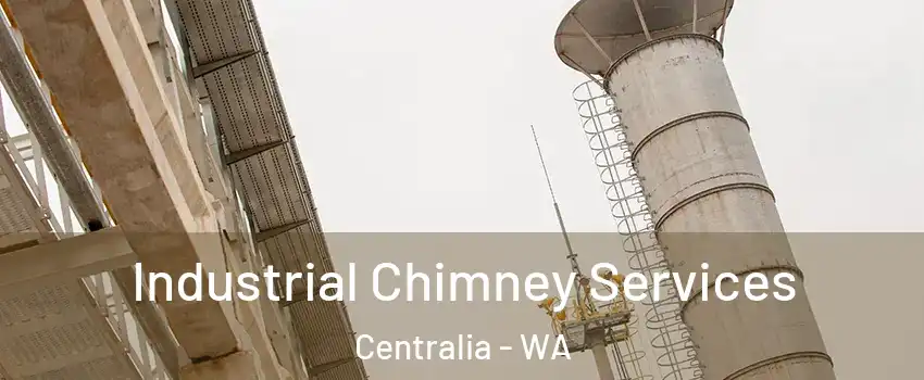  Industrial Chimney Services Centralia - WA