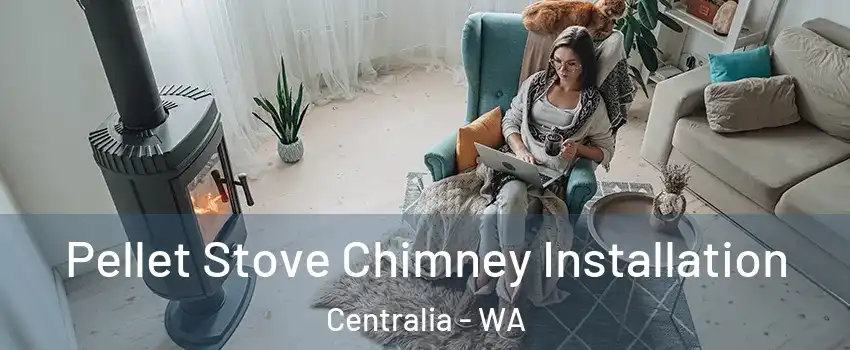  Pellet Stove Chimney Installation Centralia - WA