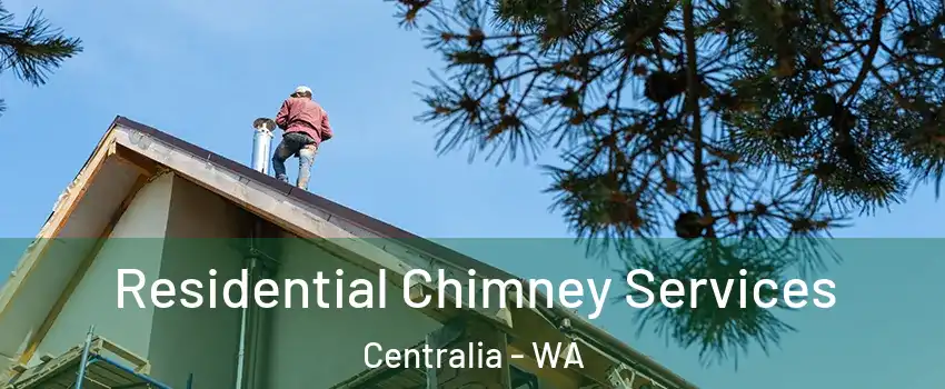  Residential Chimney Services Centralia - WA
