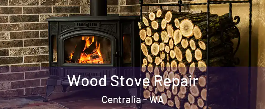  Wood Stove Repair Centralia - WA